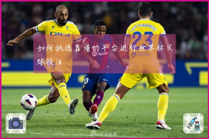 如何挑选靠谱的平台进行世界杯买球投注