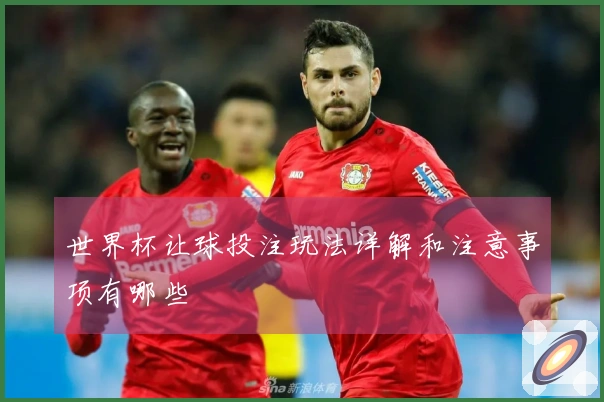 世界杯让球投注玩法详解和注意事项有哪些