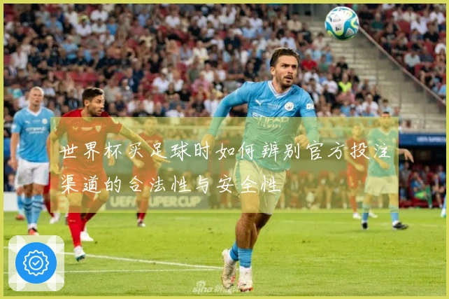 世界杯买足球时如何辨别官方投注渠道的合法性与安全性