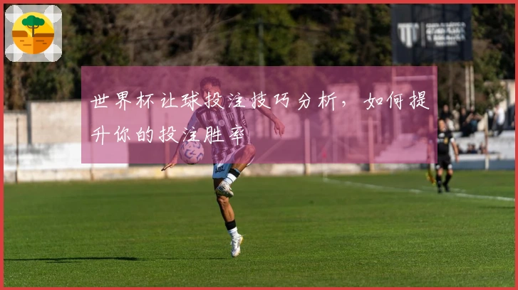 世界杯让球投注技巧分析，如何提升你的投注胜率