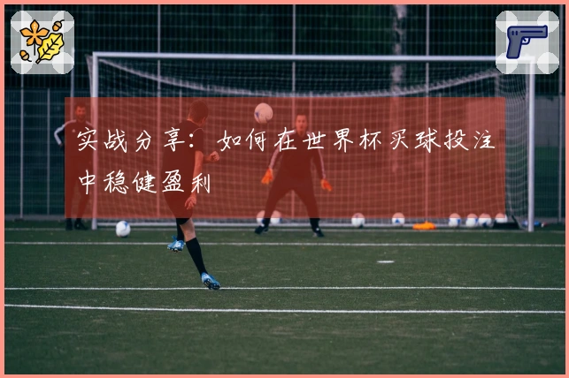实战分享：如何在世界杯买球投注中稳健盈利