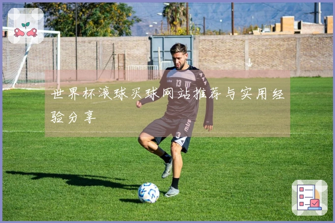 世界杯滚球买球网站推荐与实用经验分享