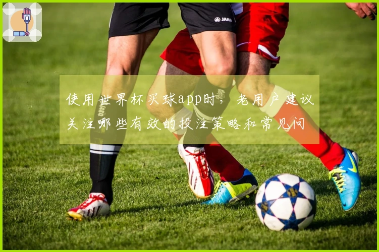使用世界杯买球app时，老用户建议关注哪些有效的投注策略和常见问题？