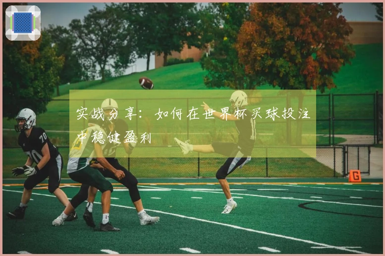 实战分享：如何在世界杯买球投注中稳健盈利