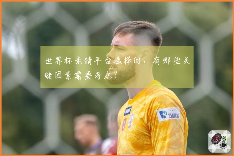 世界杯竞猜平台选择时，有哪些关键因素需要考虑？
