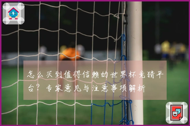 怎么买到值得信赖的世界杯竞猜平台？专家意见与注意事项解析