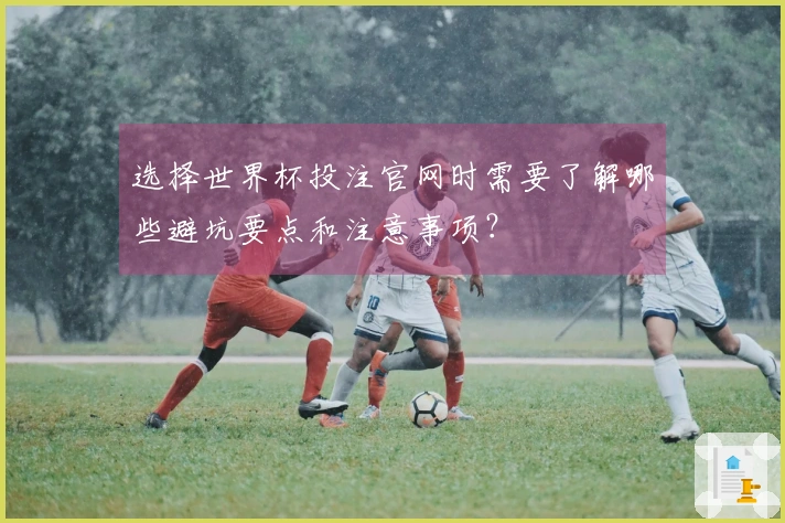 选择世界杯投注官网时需要了解哪些避坑要点和注意事项？
