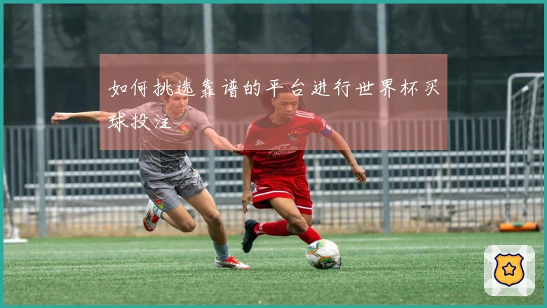 如何挑选靠谱的平台进行世界杯买球投注