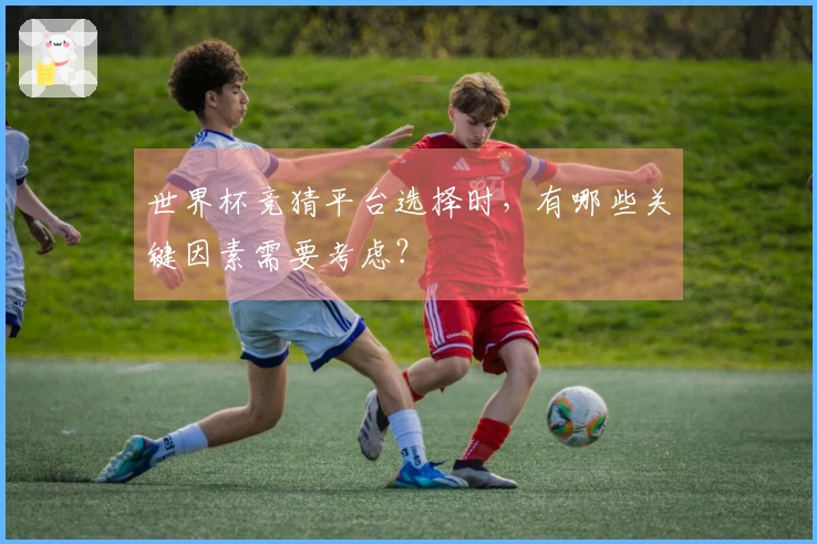 世界杯竞猜平台选择时，有哪些关键因素需要考虑？