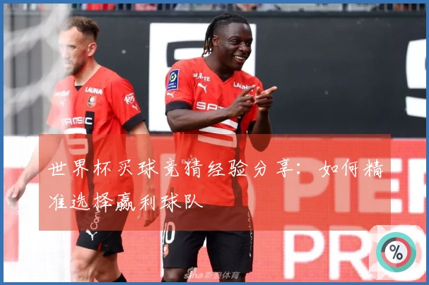 世界杯买球竞猜经验分享：如何精准选择赢利球队