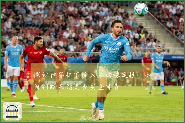 探讨世界杯下注入口的稳定性，如何判断网站是否安全可靠