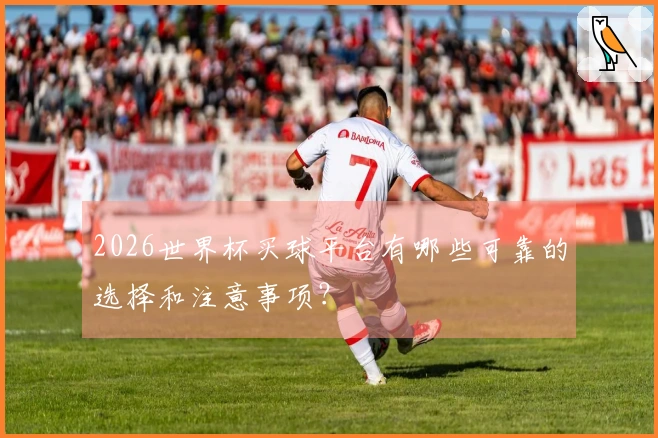 2026世界杯买球平台有哪些可靠的选择和注意事项？