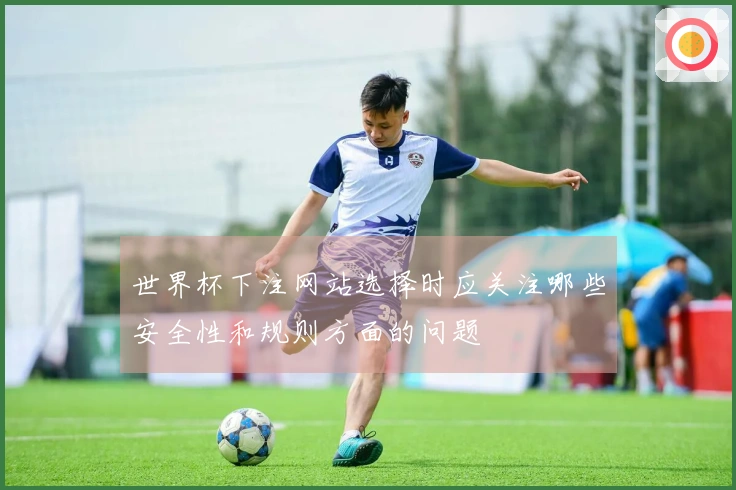 世界杯下注网站选择时应关注哪些安全性和规则方面的问题