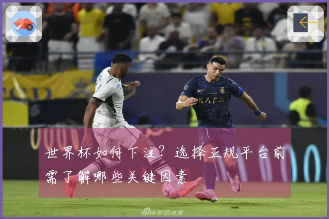 世界杯如何下注？选择正规平台前需了解哪些关键因素