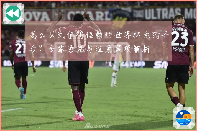 怎么买到值得信赖的世界杯竞猜平台？专家意见与注意事项解析