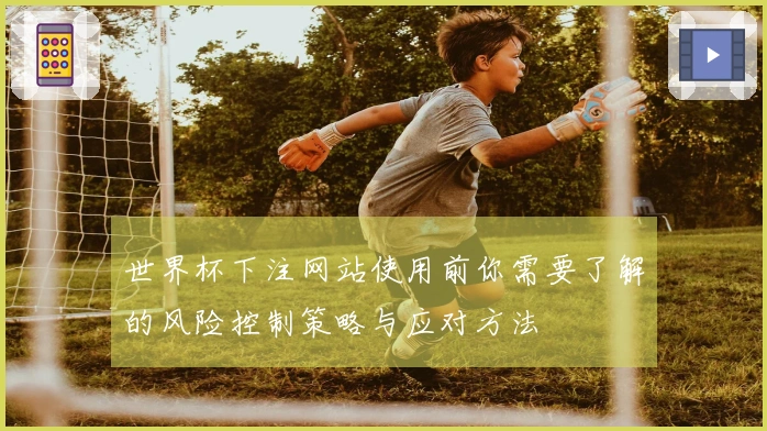 世界杯下注网站使用前你需要了解的风险控制策略与应对方法
