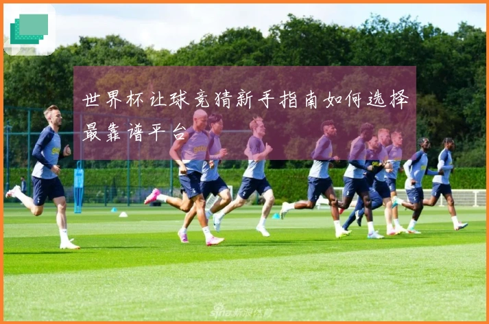 世界杯让球竞猜新手指南如何选择最靠谱平台