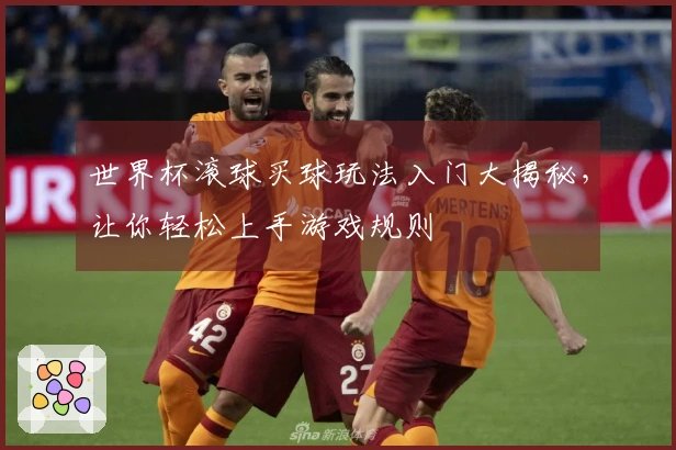 世界杯滚球买球玩法入门大揭秘，让你轻松上手游戏规则