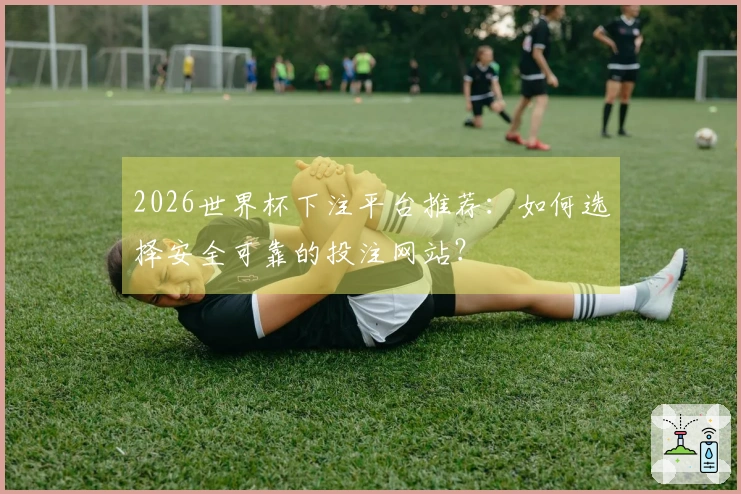 2026世界杯下注平台推荐：如何选择安全可靠的投注网站？