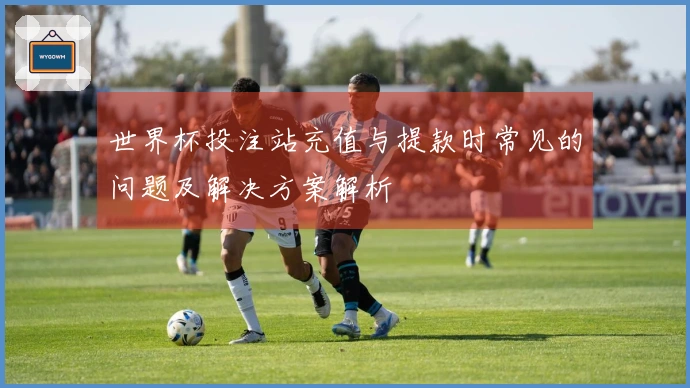 世界杯投注站充值与提款时常见的问题及解决方案解析