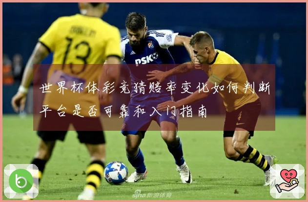 世界杯体彩竞猜赔率变化如何判断平台是否可靠和入门指南