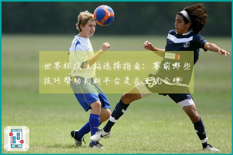 世界杯投注站选择指南：赛前哪些技巧帮助判断平台是否正规合理