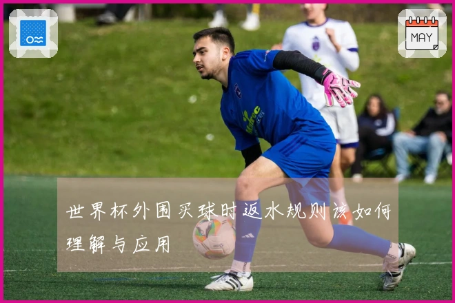 世界杯外围买球时返水规则该如何理解与应用