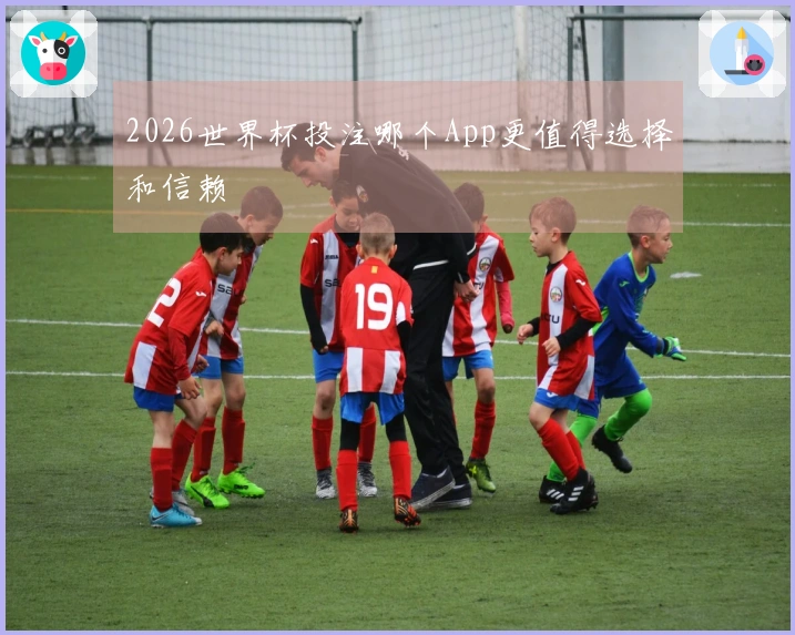 2026世界杯投注哪个App更值得选择和信赖