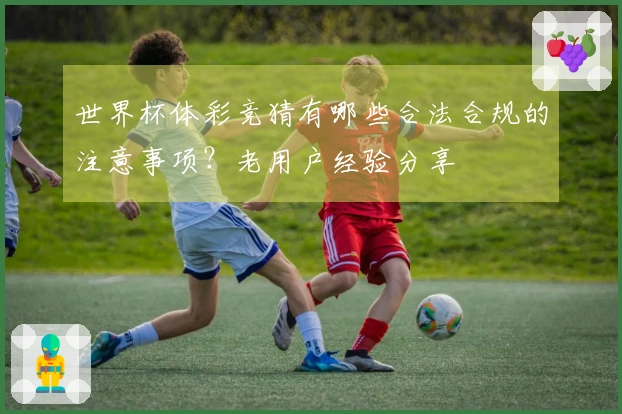 世界杯体彩竞猜有哪些合法合规的注意事项？老用户经验分享