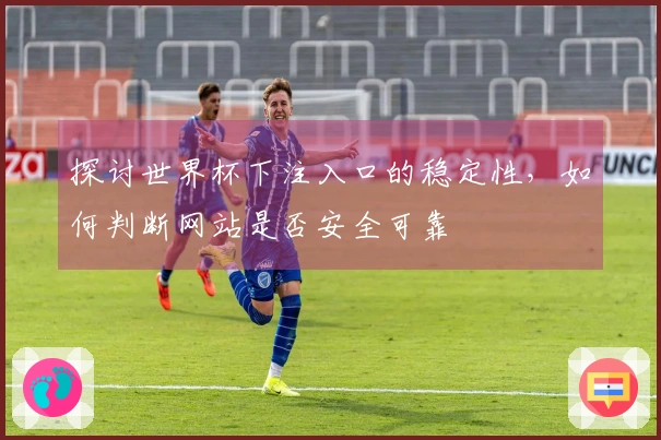 探讨世界杯下注入口的稳定性，如何判断网站是否安全可靠