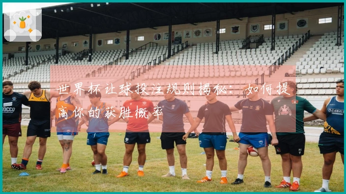 世界杯让球投注规则揭秘：如何提高你的获胜概率